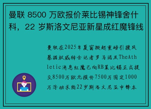 曼联 8500 万欧报价莱比锡神锋舍什科，22 岁斯洛文尼亚新星成红魔锋线重建核心