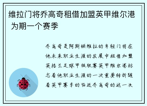 维拉门将乔高奇租借加盟英甲维尔港 为期一个赛季